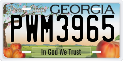 GA license plate PWM3965