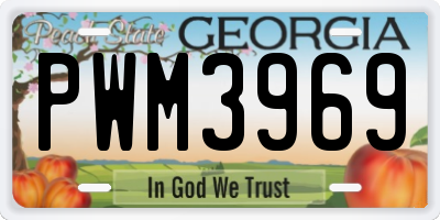 GA license plate PWM3969