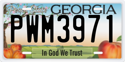 GA license plate PWM3971
