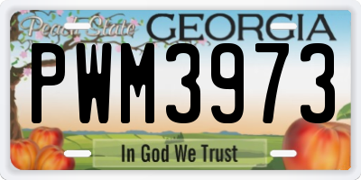 GA license plate PWM3973