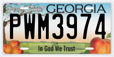 GA license plate PWM3974