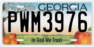 GA license plate PWM3976
