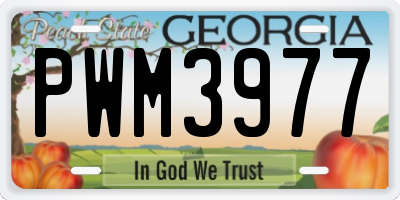 GA license plate PWM3977