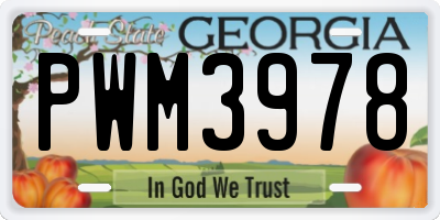 GA license plate PWM3978