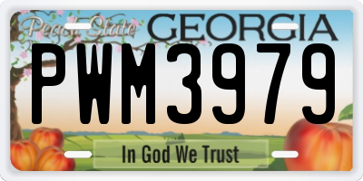 GA license plate PWM3979