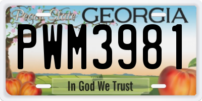 GA license plate PWM3981