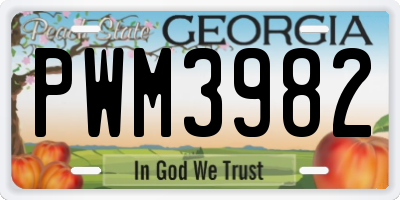 GA license plate PWM3982