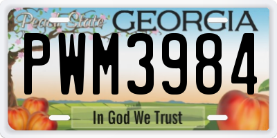 GA license plate PWM3984