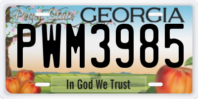 GA license plate PWM3985