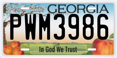 GA license plate PWM3986