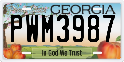 GA license plate PWM3987