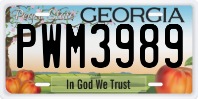 GA license plate PWM3989