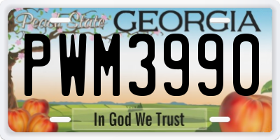 GA license plate PWM3990