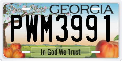 GA license plate PWM3991