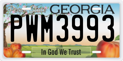 GA license plate PWM3993