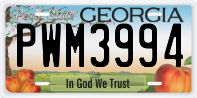GA license plate PWM3994