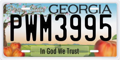 GA license plate PWM3995