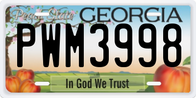 GA license plate PWM3998