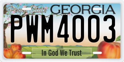 GA license plate PWM4003