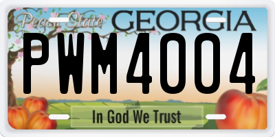 GA license plate PWM4004