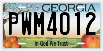 GA license plate PWM4012