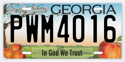 GA license plate PWM4016