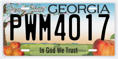 GA license plate PWM4017
