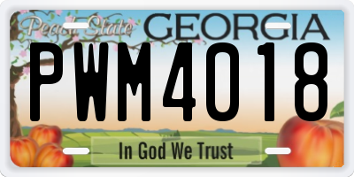 GA license plate PWM4018