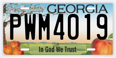 GA license plate PWM4019