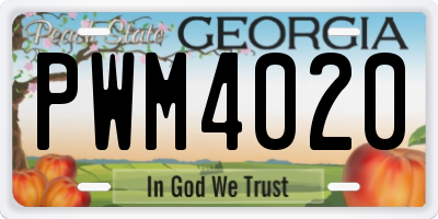 GA license plate PWM4020