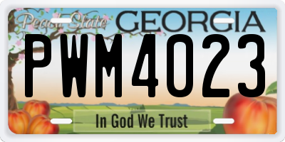 GA license plate PWM4023