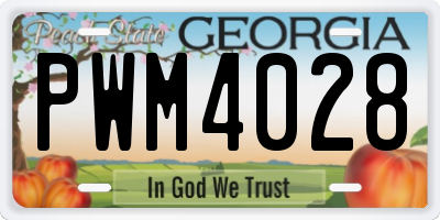 GA license plate PWM4028
