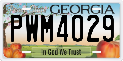 GA license plate PWM4029