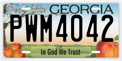 GA license plate PWM4042