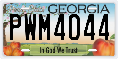 GA license plate PWM4044