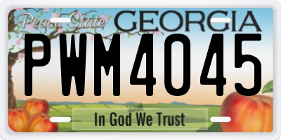 GA license plate PWM4045
