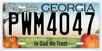 GA license plate PWM4047
