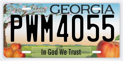 GA license plate PWM4055