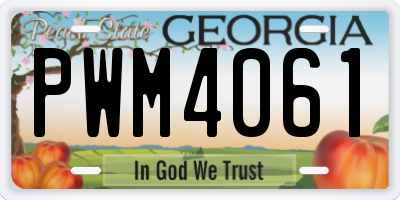 GA license plate PWM4061