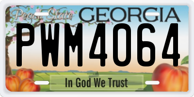 GA license plate PWM4064