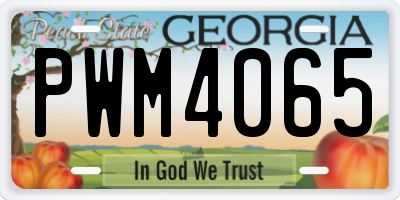 GA license plate PWM4065