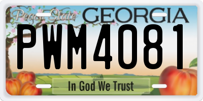 GA license plate PWM4081