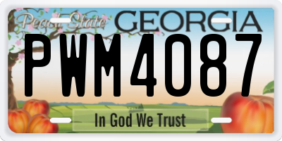 GA license plate PWM4087