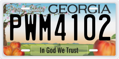 GA license plate PWM4102