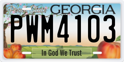 GA license plate PWM4103
