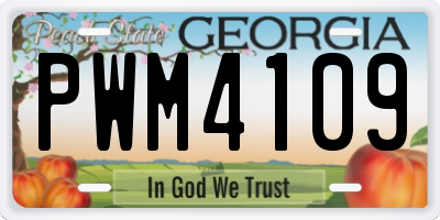 GA license plate PWM4109