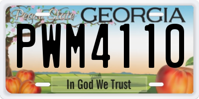 GA license plate PWM4110