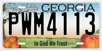 GA license plate PWM4113