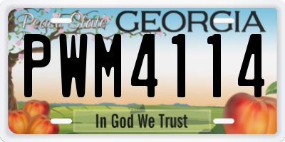GA license plate PWM4114