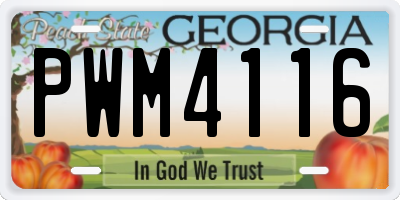 GA license plate PWM4116